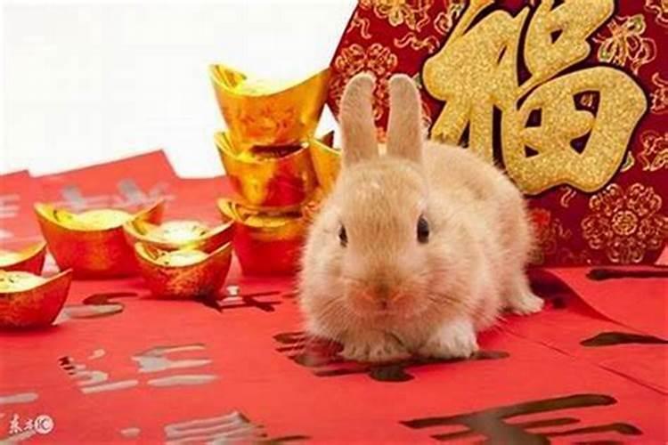 梦见死人复活又死 梦见死人复活又死去是什么意思