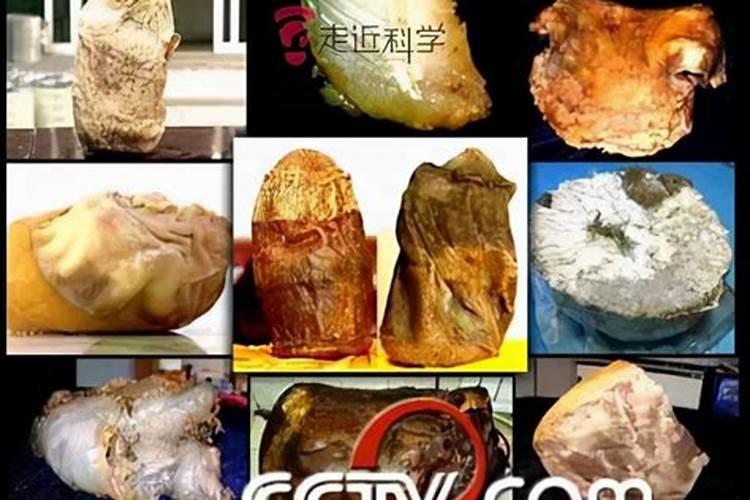 梦见高山洪水奔流而下是什么意思
