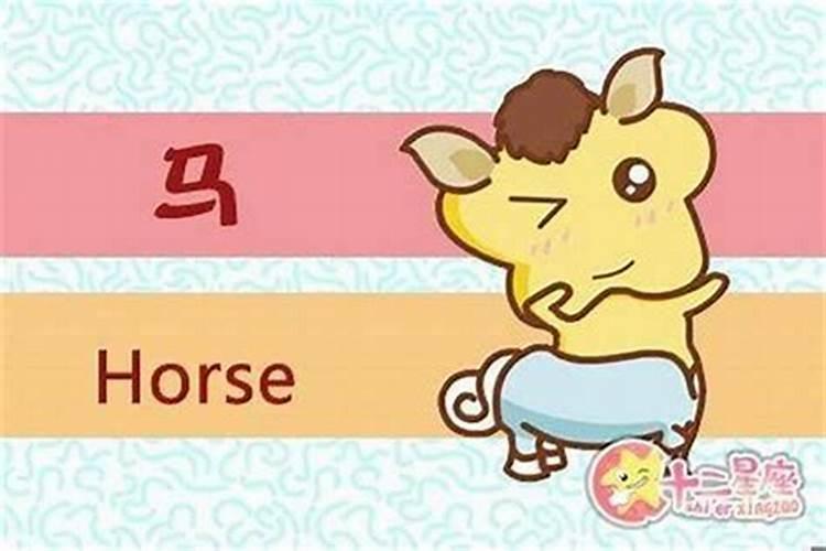 属马的和属猪的财源和不
