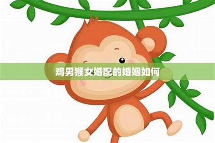 女属猴壬申猴和男属鸡癸西鸡配吗