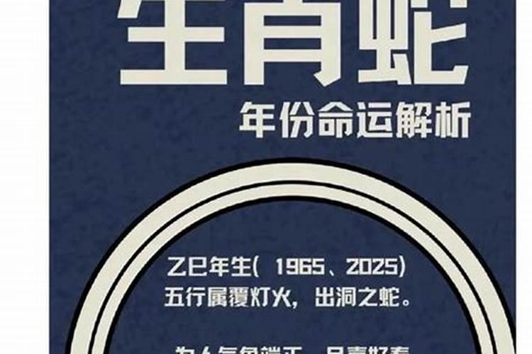 1977属蛇四十五岁起大运2024 蛇起大运之后命运如何