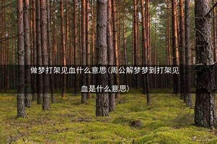 梦打架见血是什么意思？