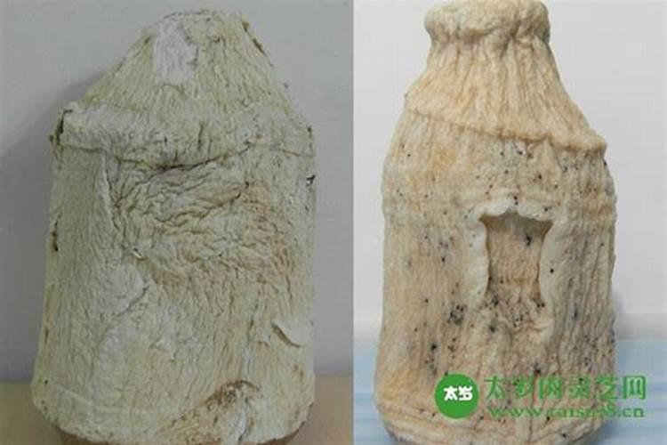 太岁的功效和作用