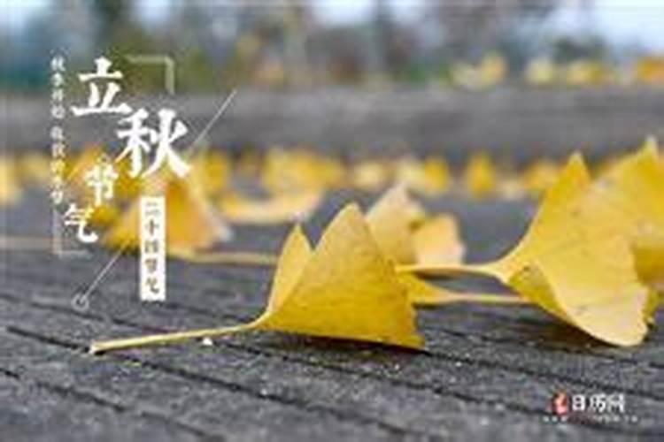 立秋是什么时候 立秋介绍