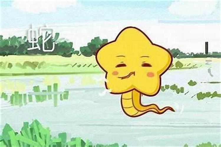 77年属蛇女在未来十年运势如何？