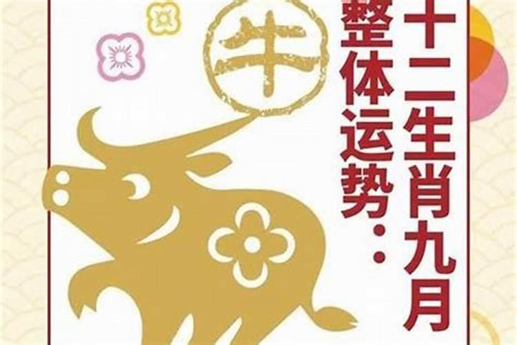 属猴人2018年运势运程
