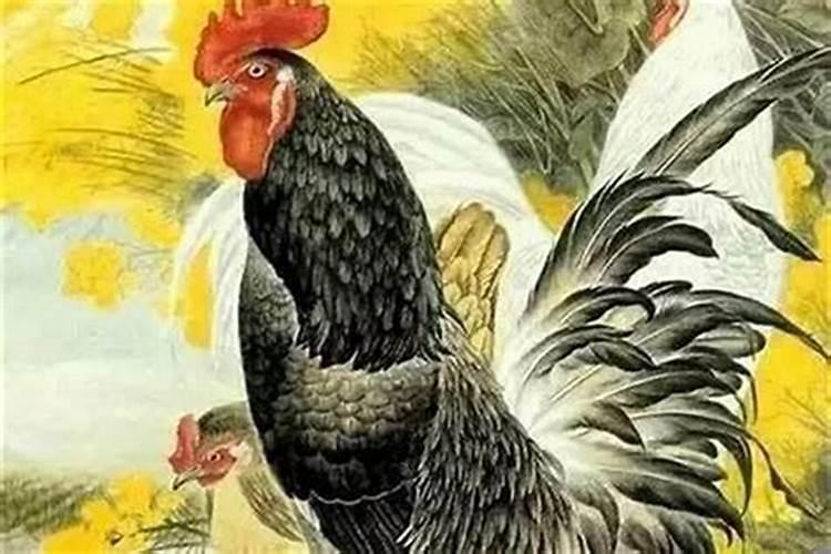 69年生肖鸡2025年5月份运势