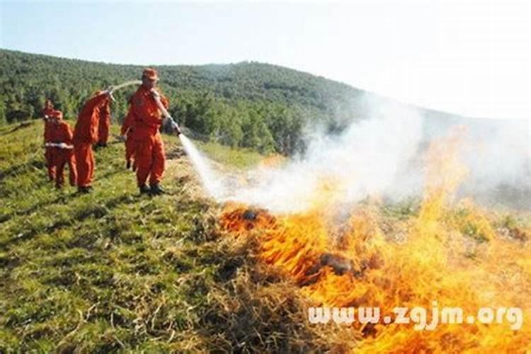 梦见救火用水把火扑灭