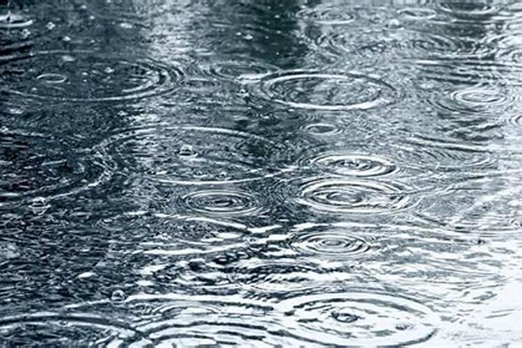 梦见白天下大雨的预兆