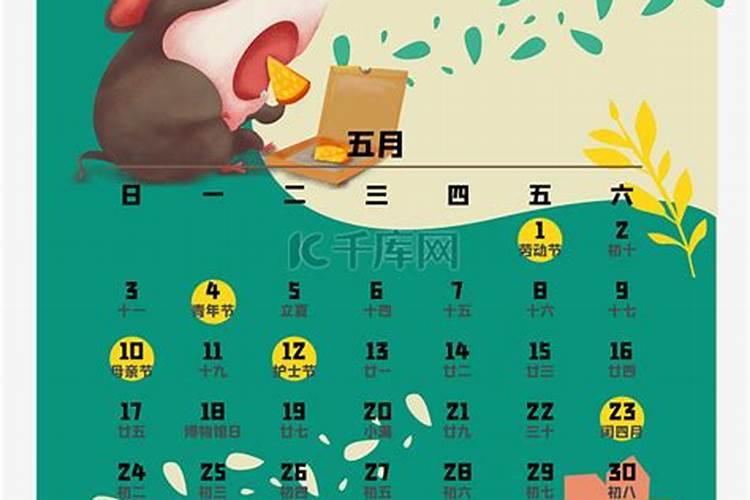 一九七二五月出生鼠的运程