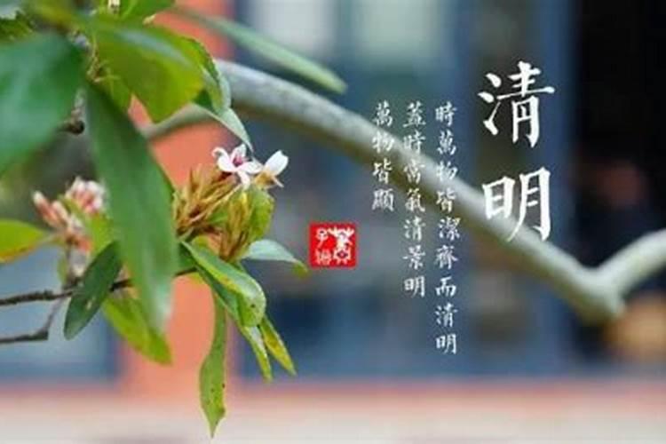 清明烧纸时间有什么讲究