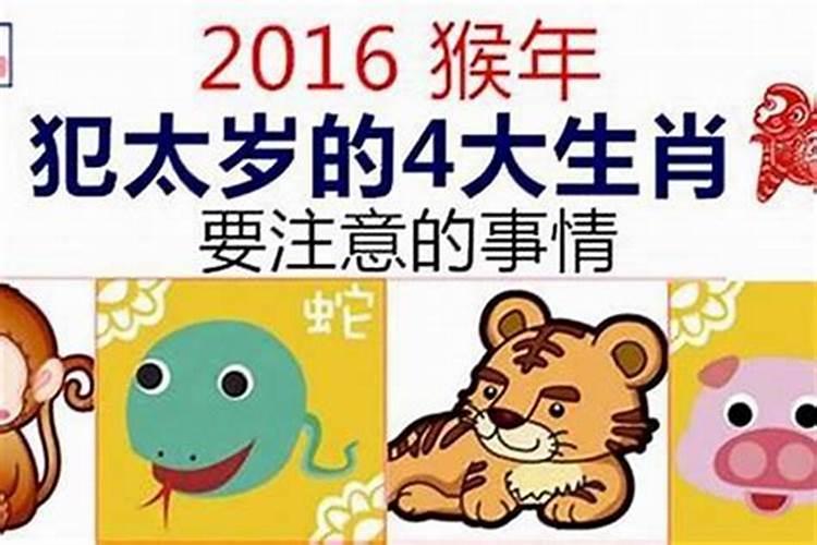 24年害太岁的五大生肖