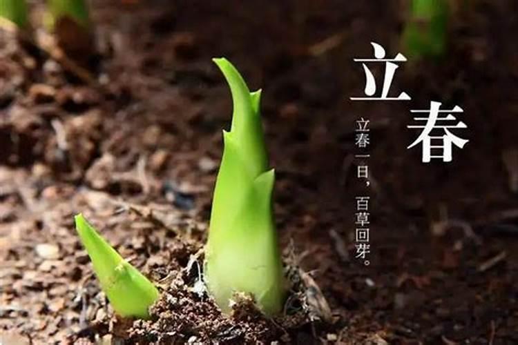 小度小度明天什么时候立春