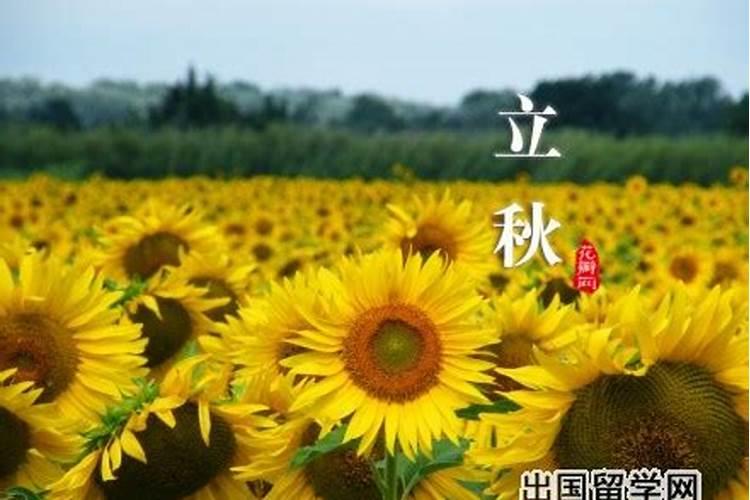 “三年”结尾的诗句
