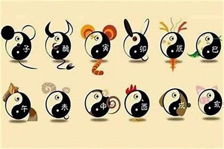 我是1975年十月初一出生的,命理如何？