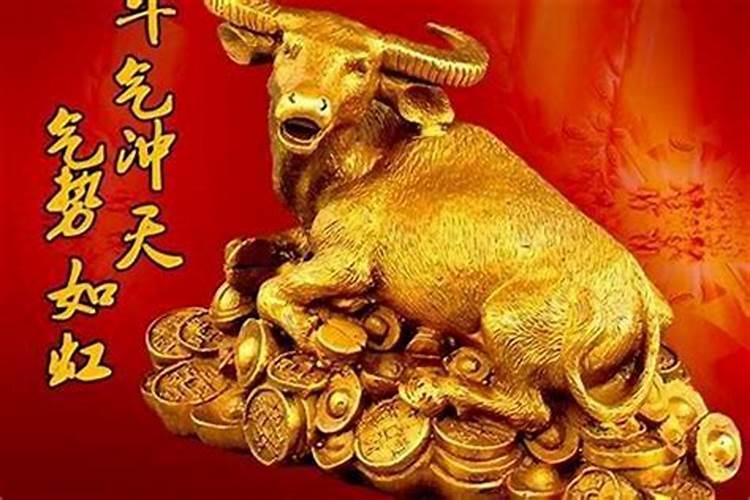 本命年好还是不好