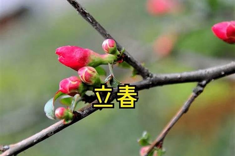 立春朋友圈说说心情
