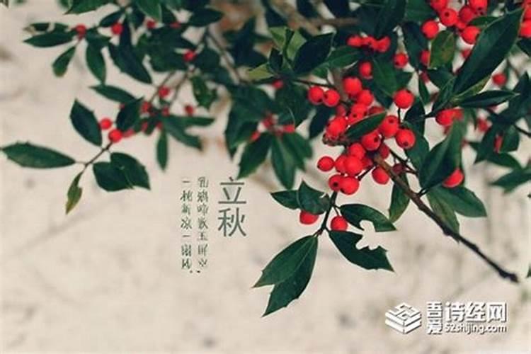 立秋节气的寓意和传统