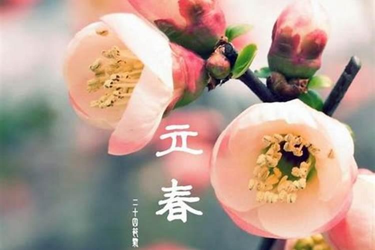 属牛和属羊的人合吗 属牛和属羊的人合适不