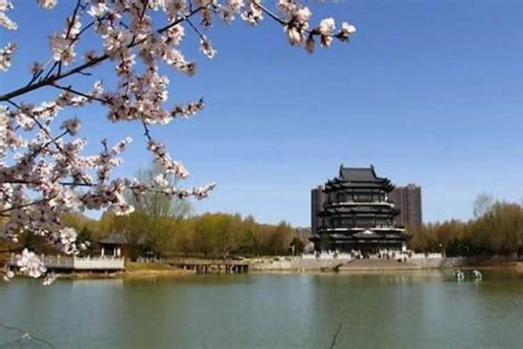立夏鸡蛋就能立起来吗