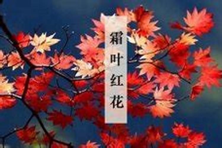 梦见有人喜欢自己是什么意思 梦见有人喜欢自己预示着什么