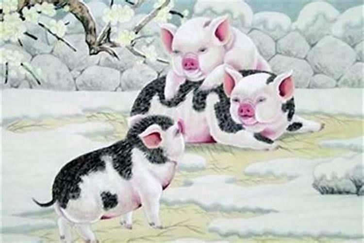 鸡狗婚配后生什么属相最好