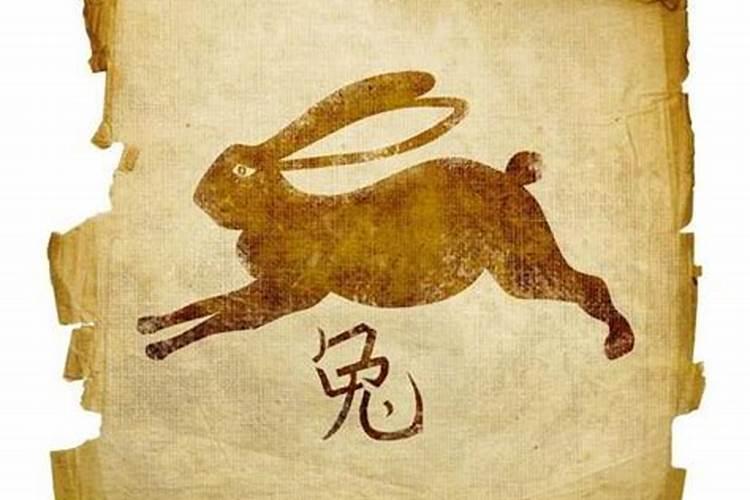 梦见别人抓大蛇跑了又抓回的预兆