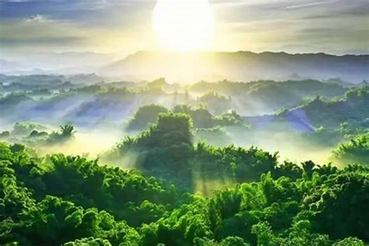 属兔遇到本命年太岁如何化解？