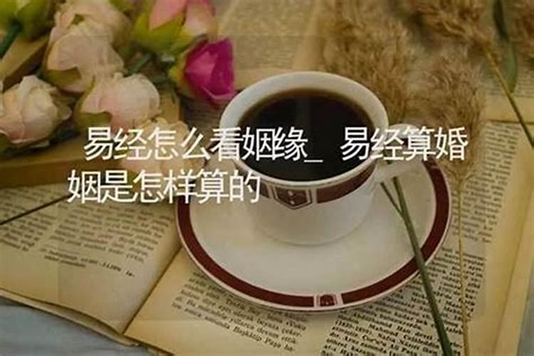 易经中的婚姻等级,易经中最好的卦是什么