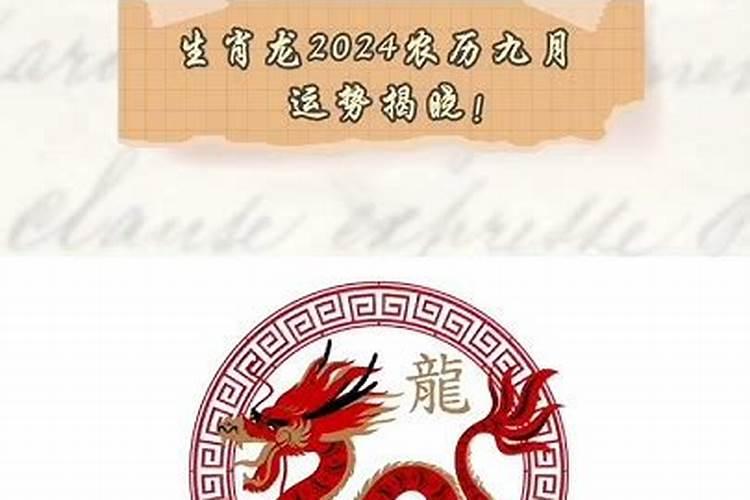 董易奇十二生肖2025运程