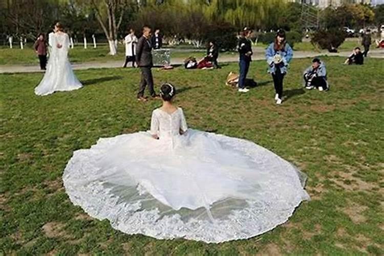 怀孕了梦见牛是什么意思？