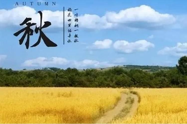 龙抬头又叫什么