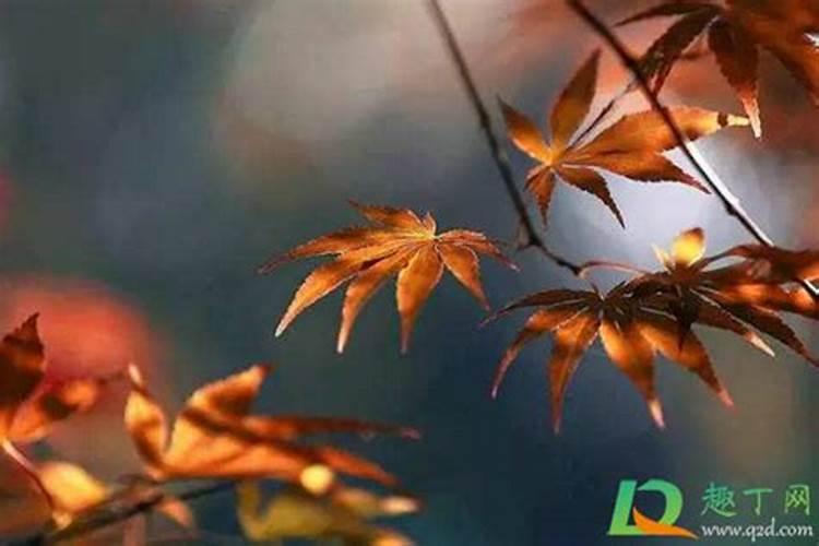 广东秋分的风俗 广东秋分节气的习俗