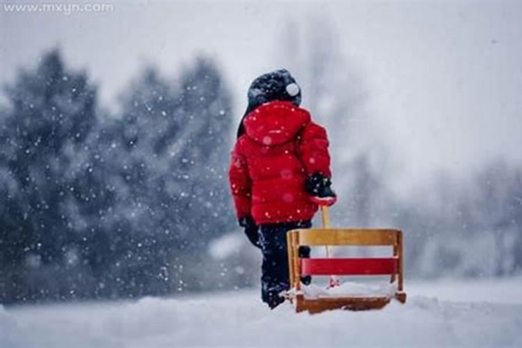 梦见学校放假了下雪了