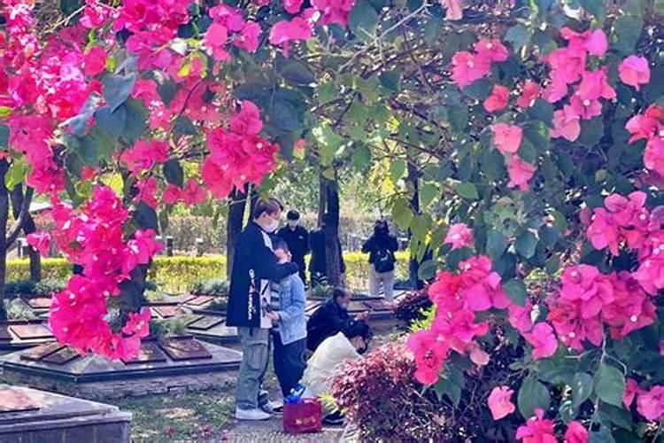 清明节上坟供品都需要摆什么