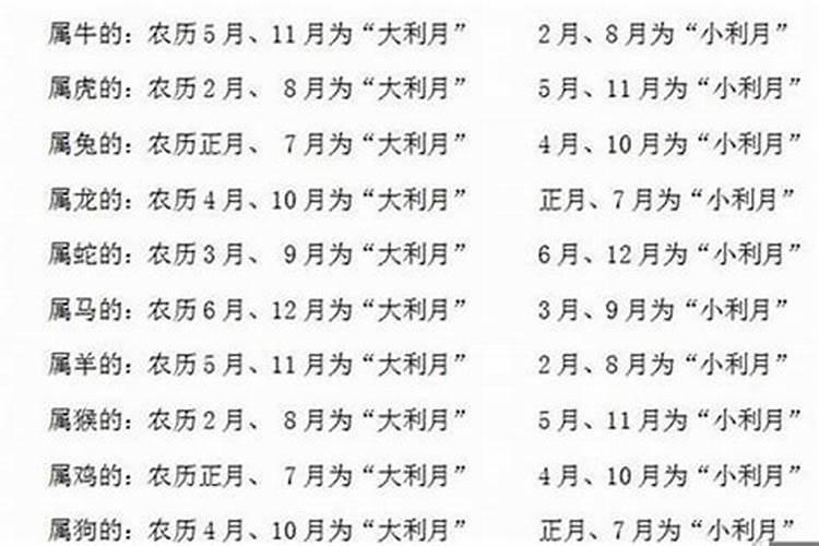 高考报志愿中大小年是什么意思？