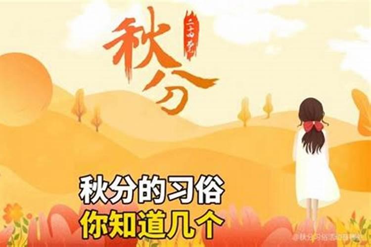 秋分的风俗活动和寓意秋分节气传统习俗有哪些