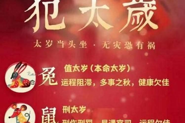 属兔2025年犯太岁吗？