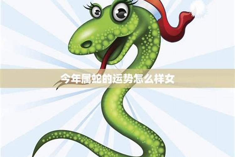 属蛇的人今年运气