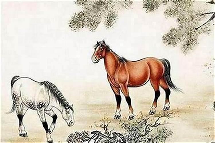 八字哪里看婚姻状况 生辰八字查前世姻缘？