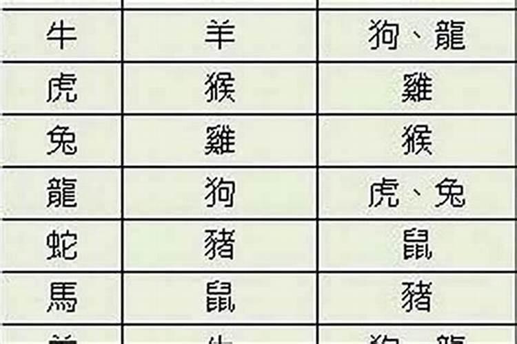 1999年兔女配什么婚姻好,99年兔和什么生肖最配