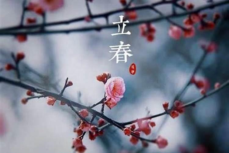 2022年2月4日立春出生的人好不好 一生命运走向