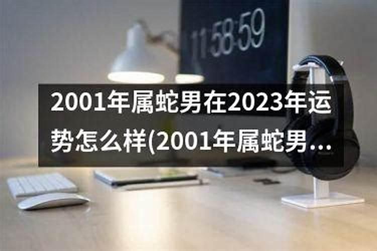 2025年属猪的全年运势
