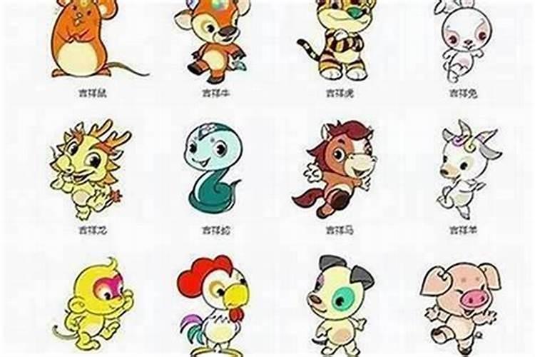 属龙和猪的属相合吗