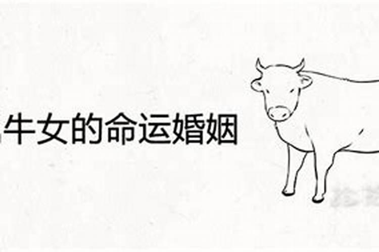 1973属牛未来十年婚姻感情会怎样1973年属牛几月出生好