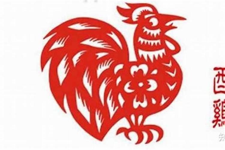 属鸡人猪年运势,属鸡与什么属相配