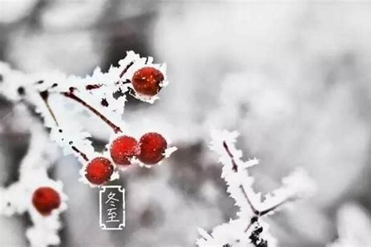 冬至生女孩叫什么名字好听