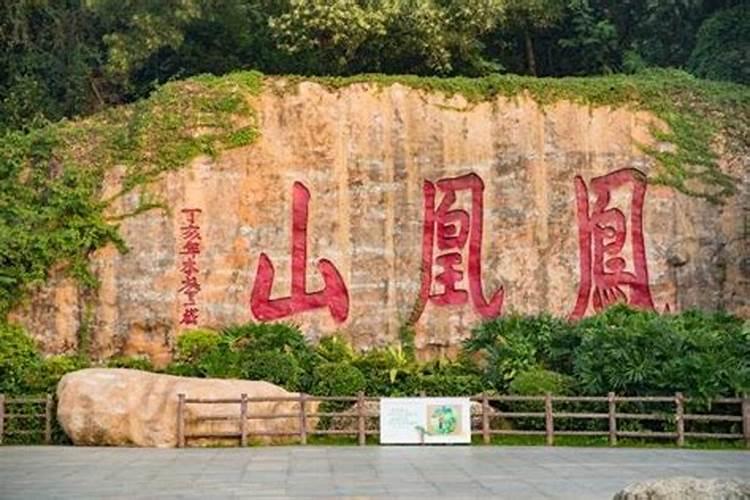 深圳凤凰山森林公园有什么景点