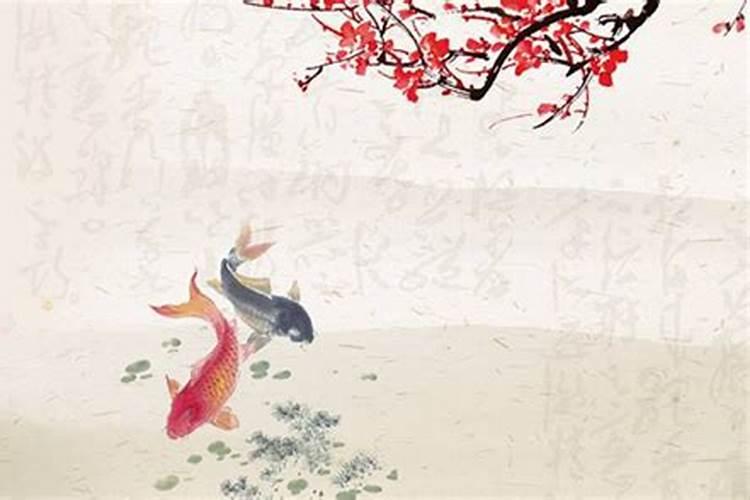 孕妇梦见鱼生男孩还是女孩