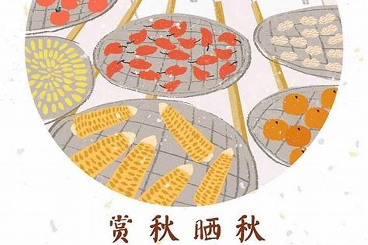 重阳节是端午节吗